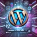 WordPress Çift Başlık Kontrolü Kodu 1 WordPress Cift Baslik Kontrolu Kodu 01